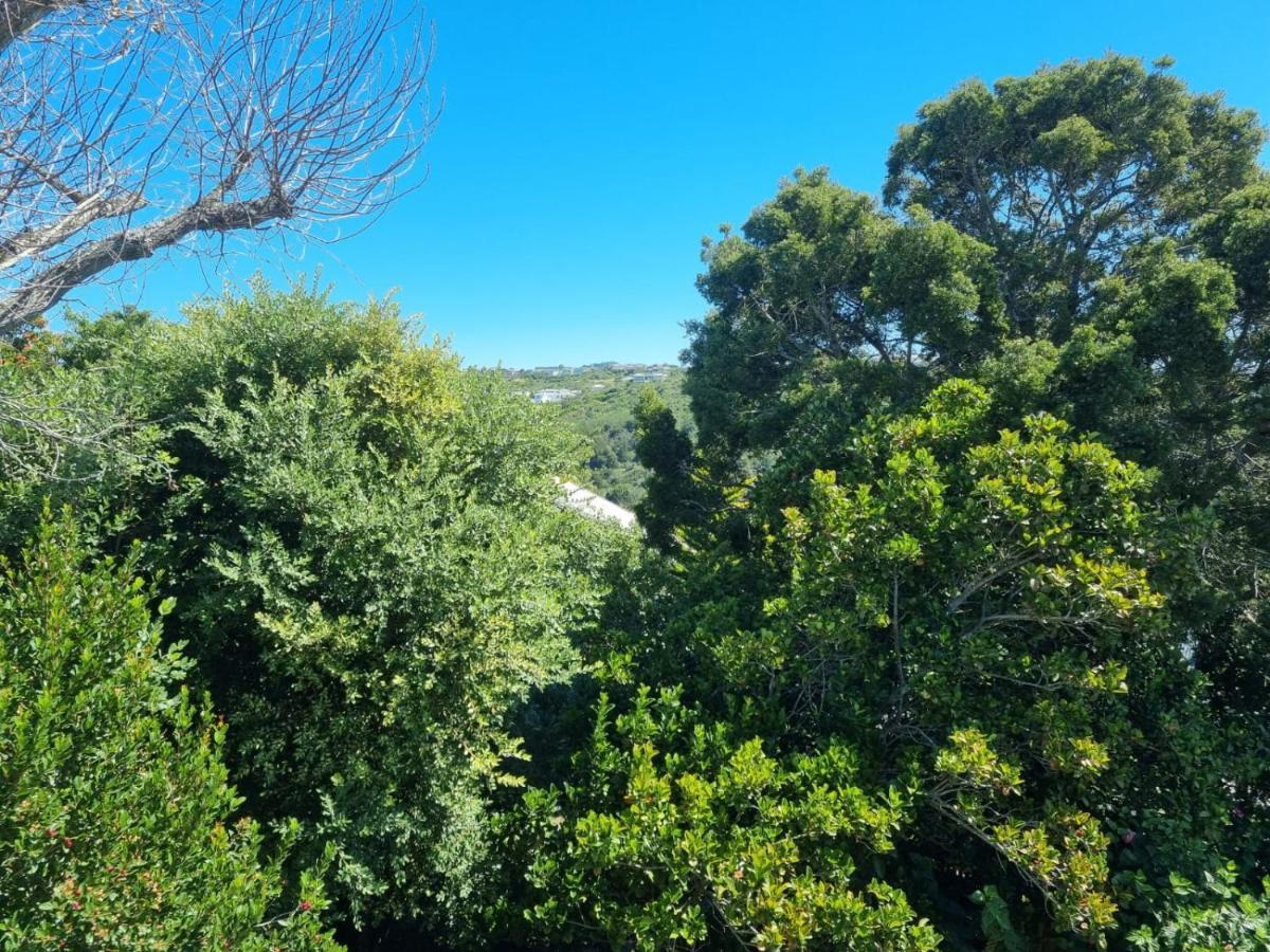 Modern Solar Powered 1 Bed Studio Apartment With Amazing Views Plettenberg Bay Exteriör bild